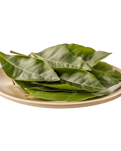 FEUILLES DE SOURSOP FRAÎCHEMENT RÉCOLTÉES ET NATURELLEMENT SÉCHÉES-DIRECTE DES FERMES DU VIETNAM À VOUS - Product Image 2