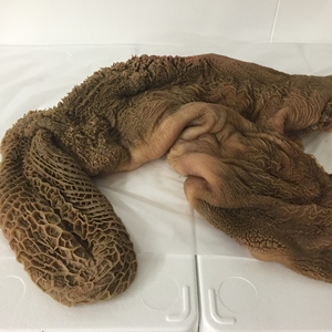 ผ้าขี้ริ้วสีเขียวสด/แช่แข็ง-ต้นกำเนิดบราซิล - Product Image 1