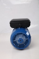 Moteur à induction monophasé IP54 à cadre métrique IEC pour groupe hydraulique