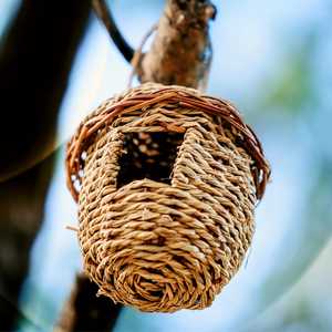 NEW! Water Drop Shaped Seagrass Birdhouse, Woven Seagrass Finch Nest, Natural Hanging Planter Potfrom Tienphong Handicrafts - Product Image 1