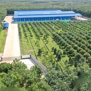 น้ำลุงไวนัท 330 มล. บรรจุกล่อง 24 กระป๋อง พร้อมส่ง ตัวอย่างฟรี รับผลิตแบบ OEM/ODM แบรนด์ส่วนตัว - Product Image 6