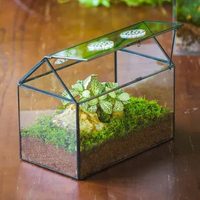 Terrarium en verre en forme de maison Verre transparent enduit de noir Taille personnalisée Jardin Mousse Plante d'air Maison Bureau Décoration de table Prix bas