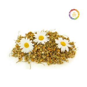 Thé de fleurs de marguerite séchées vietnamiennes de qualité supérieure idéal pour la relaxation et la désintoxication - Product Image 1