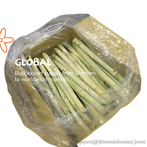 Segmentos de Caña de Azúcar Congelados LQF (Palitos Dulces Naturales) Grado de Exportación a Granel de Vietnam por KIM MINH - Product Image 4