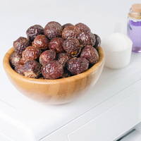 Noix de savon naturelle séchée sans pépins pour la lessive saponines prix le moins cher noix de savon soapberry