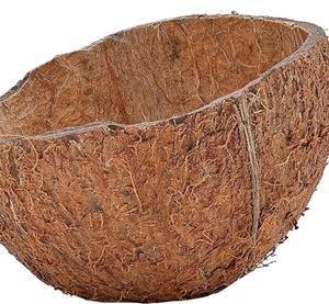 ขายร้อน 2024 ส่งออกกะลามะพร้าวราคาดีจากเวียดนาม - Product Image 5