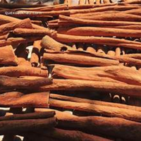 Best Verkopende-Vietnam Groothandel Goede Prijs Gedroogde 100% Natuurlijke Kaneel Met Product Van Hoge Kwaliteit