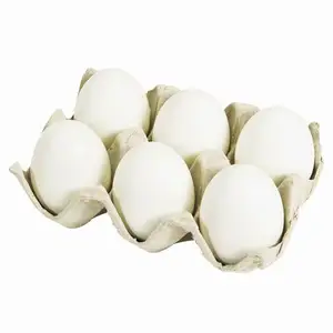 Uova di gallina da tavola fresche con guscio marrone disponibili In quantità sfuse/uova da tavola bianche In cartone economico