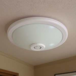 2x10W Plafonniers infrarouges ronds - Product Image 3