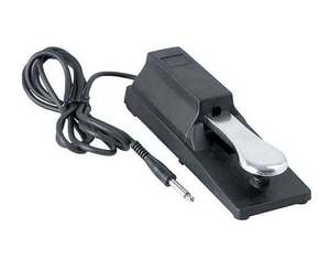 EDICIÓN ESPECIAL iKorgS PA1000 Teclado Arreglista Profesional con Banco Knox, Soporte, Pedal de Sustain y Auriculares de Estudio - Product Image 3