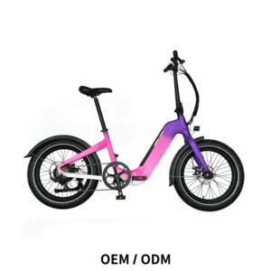 Customized 48V 350W Folding Electric City Bike 20 Inch Fat Tire Foldable Ebike