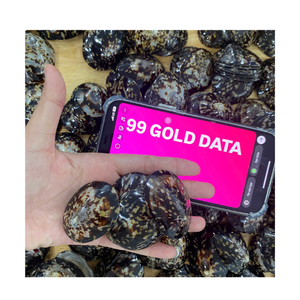 Anillo para Servilletas de Concha de Limpet Pulida, Hecho a Mano, Ecológico, de Alta Calidad, Origen Vietnam, Artesanía Natural - Product Image 1