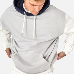 Nouveau 2025 Brodé Gym Polaire Nouvelle Collection Hiver Plusieurs Panneaux Colorés Poignets Côtelés Ourlet 100% Coton Matériel Hoodies Hommes - Product Image 3