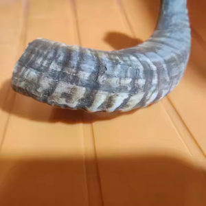 Horn Dog Chew Disponible en petites et grandes tailles pour les mâcheurs agressifs-Fabriqué par l'artisanat croissant - Product Image 1