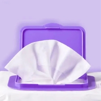Lingettes pour animaux de compagnie sans alcool, 48 paquets par boîte, portables