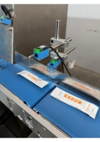 Machine d'emballage automatique à grande vitesse YH pour le conditionnement, le tri et le comptage de sachets avec convoyeur à rouleaux