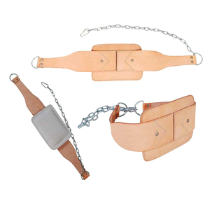 Ceinture de traction lestée en néoprène épais Ceinture de musculation avec chaîne Double anneau en D Sangle de soutien arrière Accueil - Product Image 1