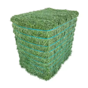 Foin de luzerne séché de haute qualité, aliments pour animaux emballés dans des balles ou des sacs pour porcs bovins chevaux poissons chiens - Product Image 2