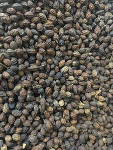 2024 VENDEUR CHAUD GRAINES DE PAPAYE SÉCHÉES DE HAUTE QUALITÉ DU VIETNAM À L'ALLEMAGNE ÉTATS-UNIS MARCHÉ MS AMELIA HUYNH + 84855014447 AU MEILLEUR PRIX - Product Image 6