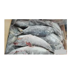 تاجر و مورّد سمك التونة المجمد والسمك السكيب جاك والسمك البونيتو بأفضل جودة وبأفضل سعر المصنع والشراء بالجملة عبر الإنترنت