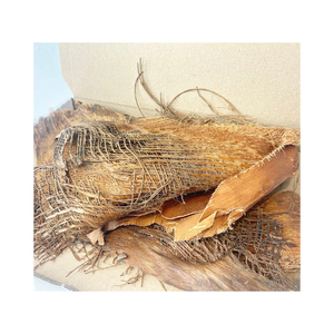 Fibre de coco écologique idéale pour la fabrication de produits durables - Product Image 2