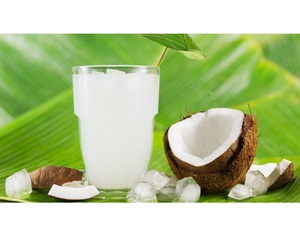 สินค้าโคโคคุณภาพสูงจากข้อมูลทองคํา 99 Nata de coco - มะพร้าวเยลลี่คิวบสําหรับเครื่องดื่มชานม - Product Image 4