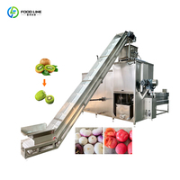Fruit- en groente-schilmachine met hoge prijs-kwaliteitverhouding