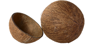 Cuenco decorativo de cáscara de coco Natural 100% marrón, cáscara de coco Natural, olla ovalada, cáscaras de coco, ángulo de etiqueta privada - Product Image 6