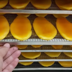 Mango seco Premium de Vietnam hecho con un 100 por ciento de fruta natural suave y lleno de sabor tropical perfecto para la exportación - Product Image 1