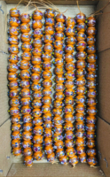 Handgefertigte Premium Braune Kristall-Lampwork-Glasperlen zur Dekoration, Gemischte Größen, Unregelmäßige Formen, von Drittanbietern Zertifiziert