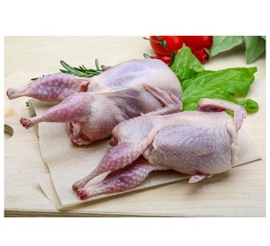 Carcasses de Cailles Fraîches Congelées en Gros, Viande Riche en Protéines de Haute Qualité, Idéale pour les Restaurants, les Hôtels et l'Exportation en Gros - Product Image 2