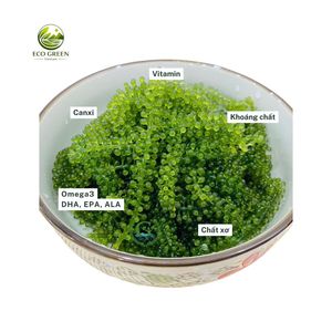 Uvas de Mar Frescas, Mariscos Saludables, Caviar Verde, Suministro a Granel, Empaque OEM Disponible - Product Image 2