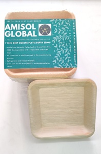 Assiette jetable biodégradable carrée de meilleure qualité de 7 pouces de profondeur Emballage en vrac de conception sans danger pour les aliments à usage domestique et commercial - Product Image 3