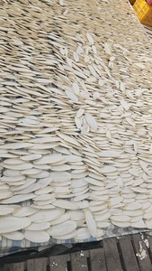 ปลาหมึกแห้งคุณภาพสูงสำหรับสัตว์เลี้ยงสัตว์เลื้อยคลาน100% ปูจากปลาหมึกธรรมชาติ-99 GD - Product Image 2