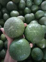 Verse groene sinaasappel uit Vietnam |   Premium citrusvruchten voor export, bulklevering - Mevr. Tarina