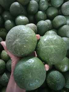 Orange verte fraîche du Vietnam |   Fruits d'agrumes de qualité supérieure pour l'exportation, approvisionnement en vrac - Mme Tarina - Product Image 5