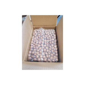 Macadamia découvrez les avantages des noix de macadamia et comment ils peuvent améliorer votre alimentation et votre bien-être général - Product Image 3