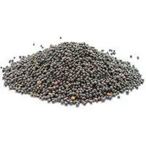 เมล็ด100% ข่มขืนธรรมชาติ - Product Image 3