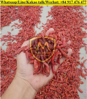 Piment rouge séché d'origine vietnamienne de qualité alimentaire prêt pour l'exportation traitement brut WhatsApp 84 917 476 477
