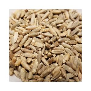 Granos de centeno Premium de alta calidad Producto de alimentación animal a granel Grano de cebada de alta calidad para la venta - Product Image 4