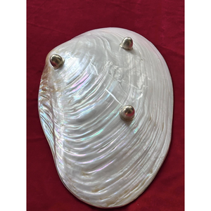 Fournisseur de plats de service en nacre de haute qualité, plat MOP d'une usine vietnamienne. - Product Image 1