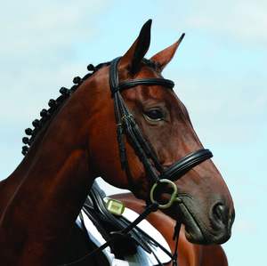 Brida Cavesson elevada acolchada de cuero genuino de alta calidad MEJOR brida de caballo - Product Image 6