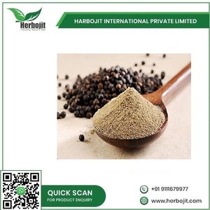 Poudre de poivre noir de haute qualité épices assaisonnements poudre d'extrait de poivre noir disponible en quantité en vrac d'Inde - Product Image 6