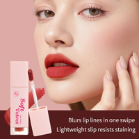 Gloss à lèvres personnalisé, ingrédients liquides à base de plantes, marque privée, végan, hydratant, mat, longue durée, imperméable, formule anti-adhésive, logo