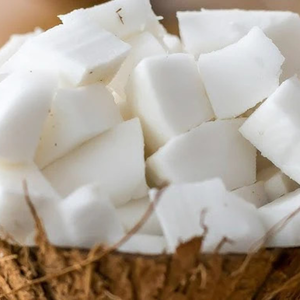 MORCEAUX DE RIZ À LA NOIX DE COCO CONGELÉE DE QUALITÉ SUPÉRIEURE PRÊTS À L'EMPLOI POUR LES FABRICANTS ET LES DÉTAILLANTS ALIMENTAIRES - Product Image 2