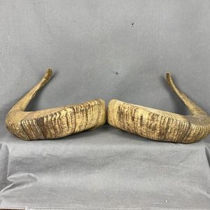 Corne de bélier de luxe de qualité supérieure Shofar naturel pour souffler Top qualité casher Shofar Kudu Instrument de musique traditionnel religieux - Product Image 5