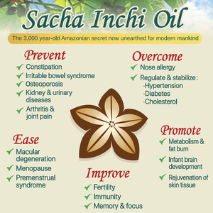 Huile biologique de Sacha Inchi/Superaliment pressé à froid du Vietnam/ Ms. Jessi - Product Image 3