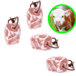 持久舔盐 | 马和羊的动物块 - Product Image 4