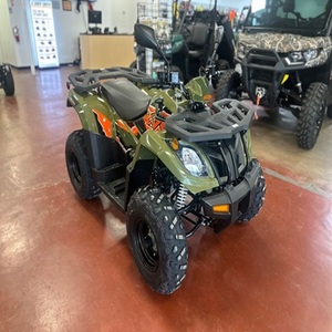 Oferta Oficial con Descuento para el Ka/yoo Bull 300 EFI Verde 2025 - Product Image 4