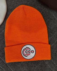 Beanie <b>Cap</b> <b>Winter</b> Warm Hats Soft Knit Jacquard 3D Embroidery Bows Breathable Waterproof Wool Blend Unisex Adults - Product Image 6